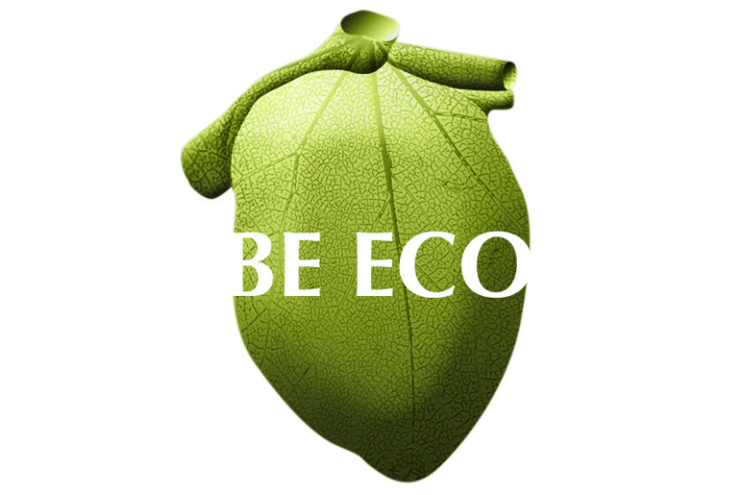Be Eco 1