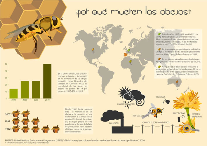 Infografía  de las abejas 3