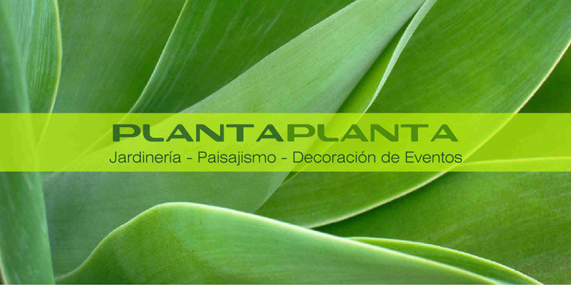 Plantaplanta 5