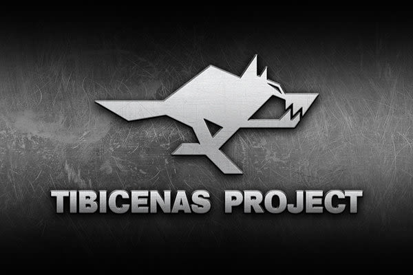 Tibicenas Project 6
