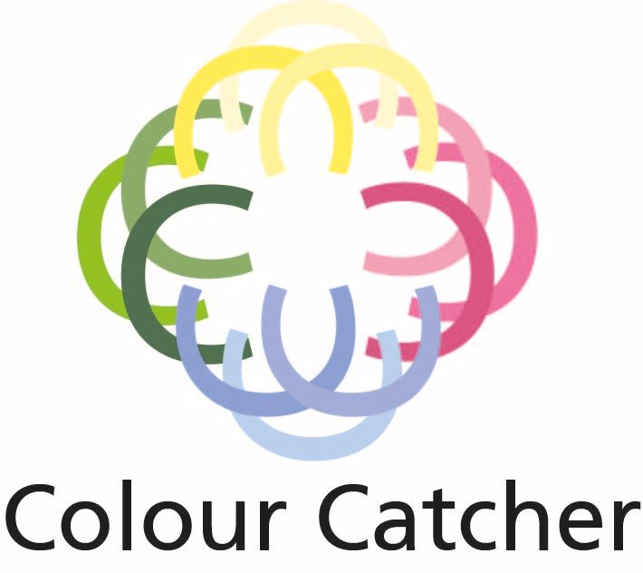 Colour Catcher App 0