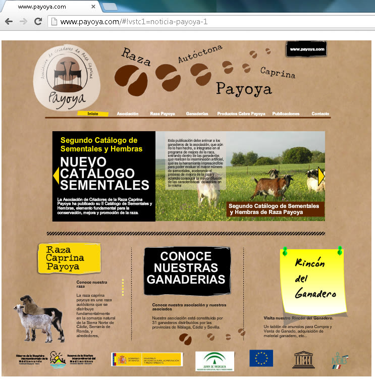 Payoya (Asociación de Criadores de Raza Caprina Payoya) 9