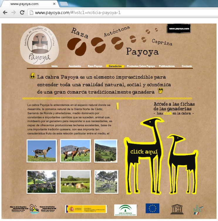 Payoya (Asociación de Criadores de Raza Caprina Payoya) 11