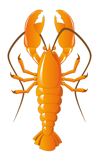 Lobster -1