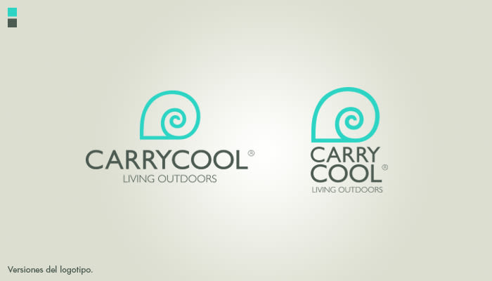 Identidad corporativa Carrycool 1