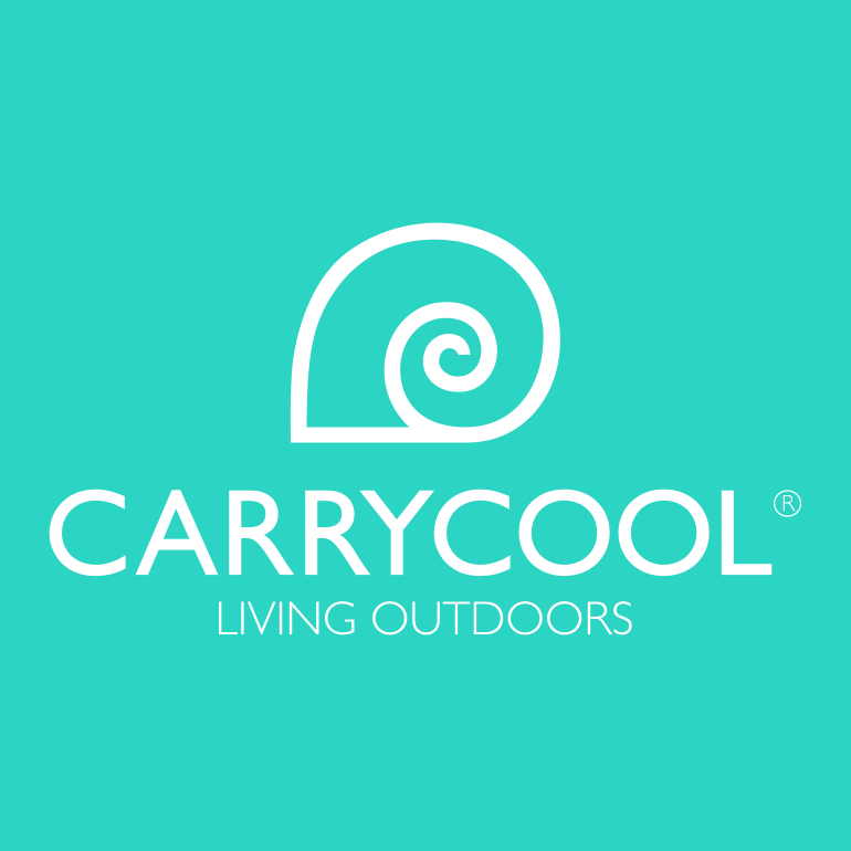 Identidad corporativa Carrycool 0