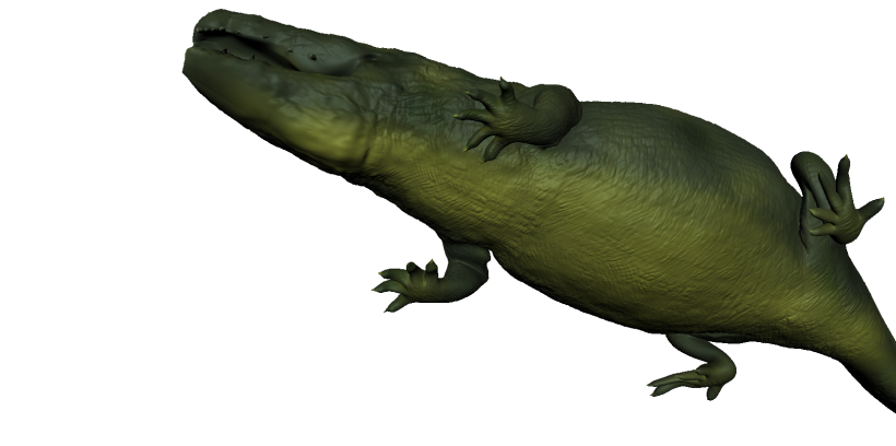 3D crocodile mudbox 1
