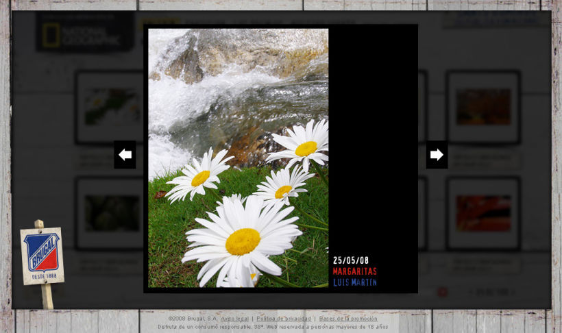 Microsite Brugal + National Geographic 3