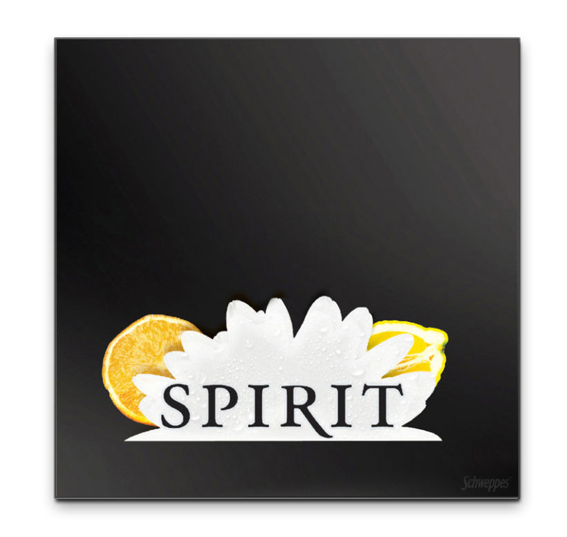 Spirit® 6