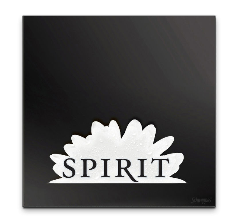 Spirit® 7
