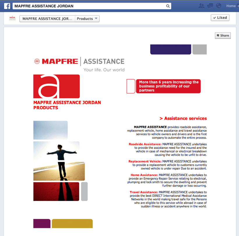 Páginas en Linkedin, Facebook, Twitter y Google+ de Mapfre Asistencia 13