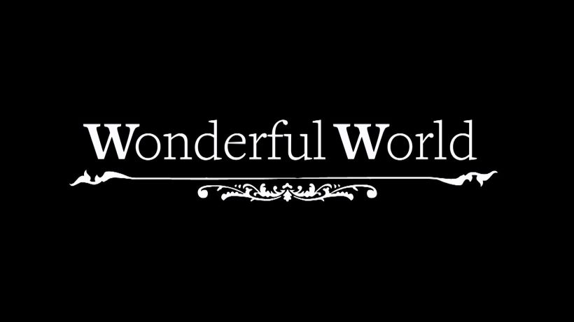 Wonderful World 0