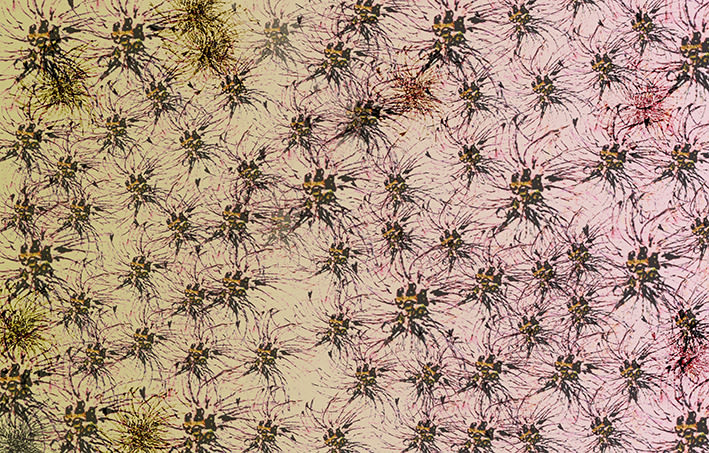 Il·lustració: Estampat floral per téxtil. 2