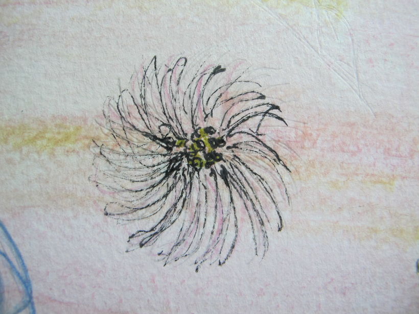 Il·lustració: Estampat floral per téxtil. 0
