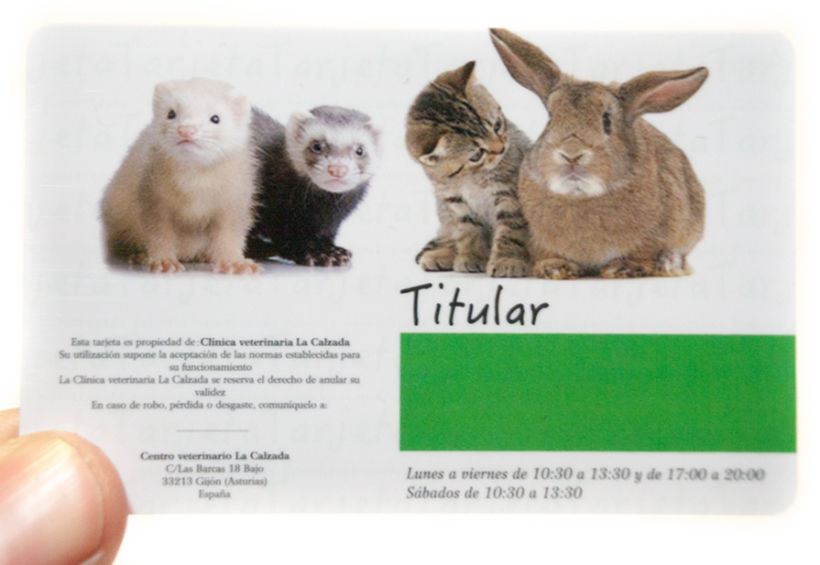 Diseño gráfico: Tarjetas de fidelización para clínica veterinaria La Calzada 4