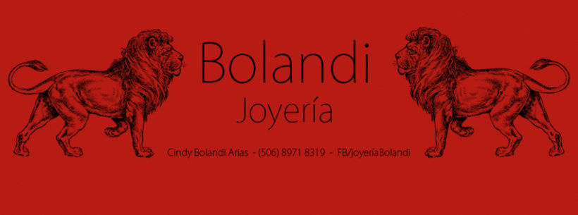 Imagen digital para Joyería Bolandi -1