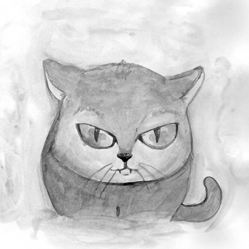Gato enamorado (libro, ebook, ilustración) 3