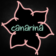 Identidad corporativa Canarina -1