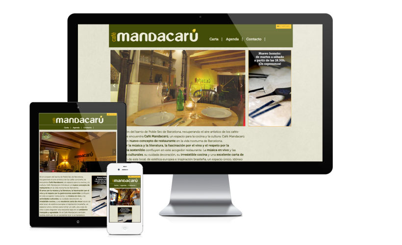 Mandacarú responsive website 0