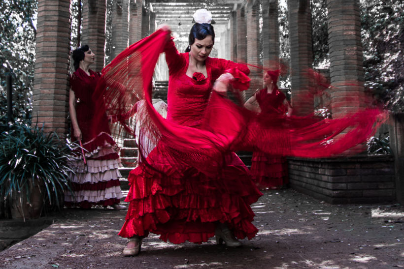 Flamenco -1