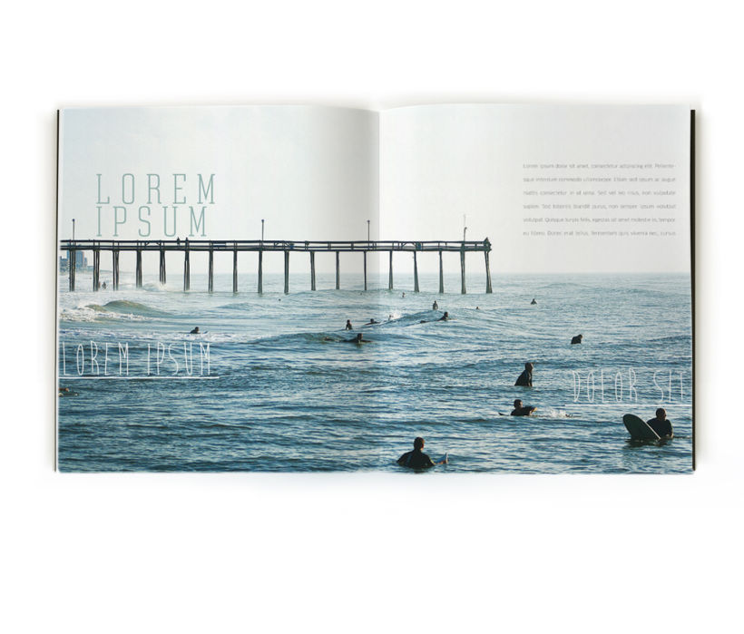 Revista de Surf 8