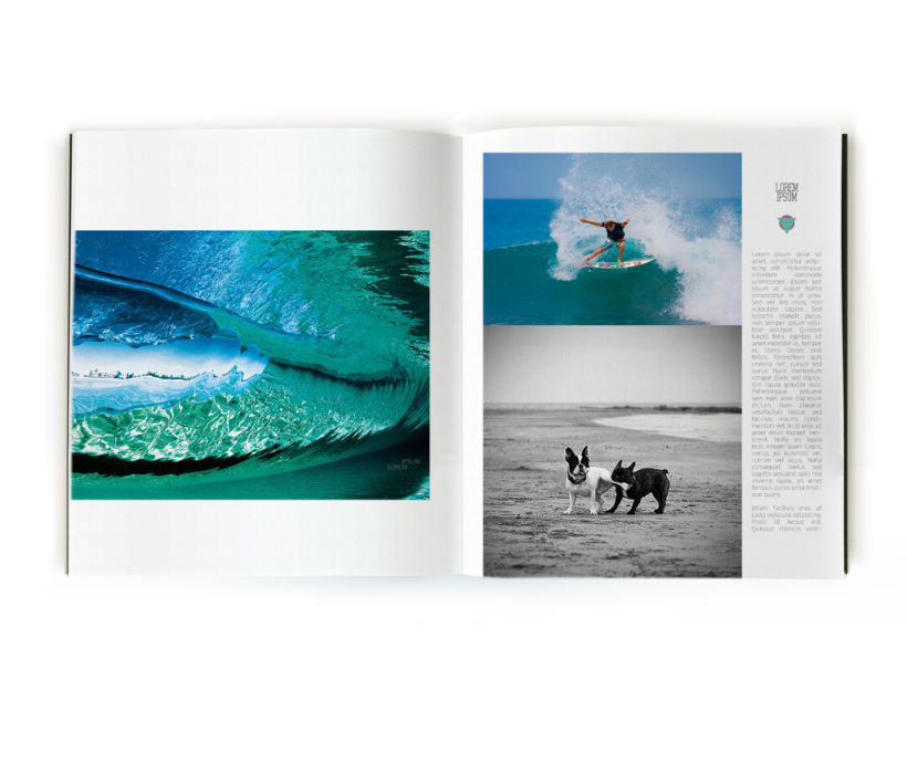 Revista de Surf 11