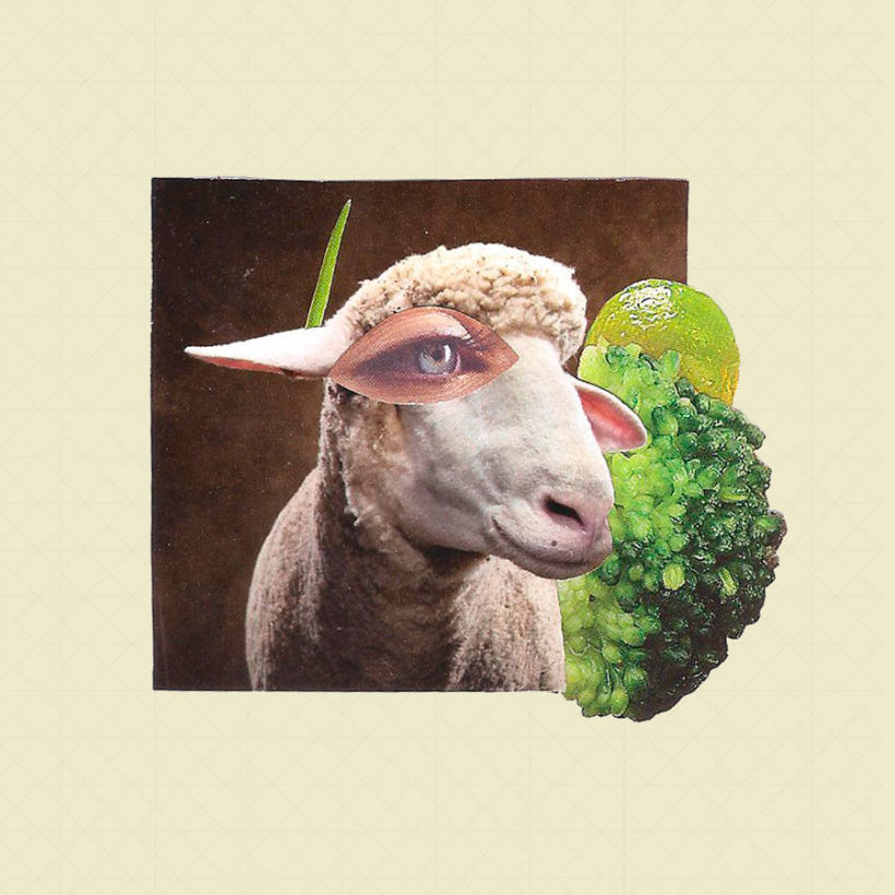 Sheep 2D 0