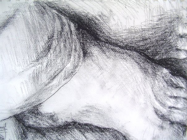 Drawings, compositions and anatomy: pencil, charcoal, ink 0