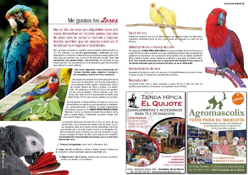 la Corneta - Revista Gratuita de la Sierra Norte 8