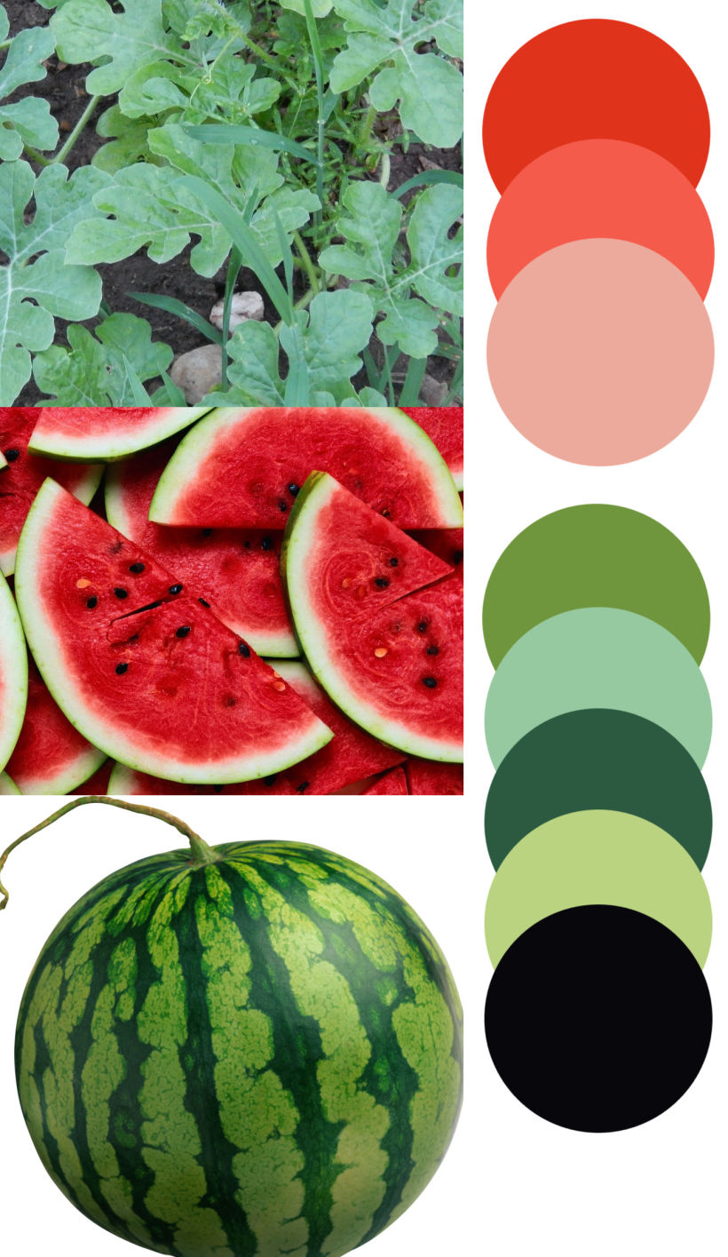 Watermelon - Mi Proyecto del curso Motivos para repetir (2) 0