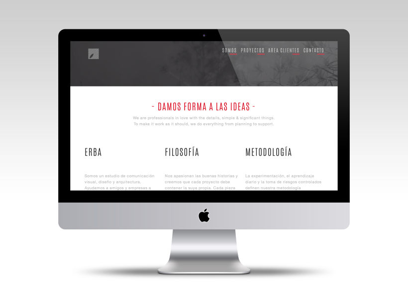 Diseño web | Erba -1
