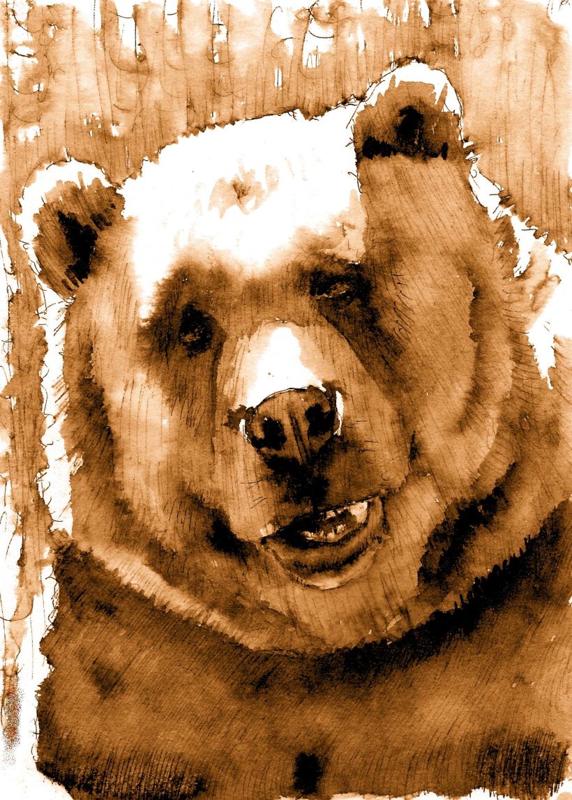 ilustración oso -1