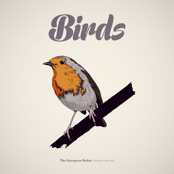  BIRDS // Vector Illustrations Collection 0