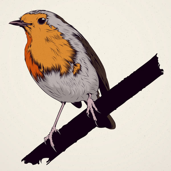  BIRDS // Vector Illustrations Collection 3
