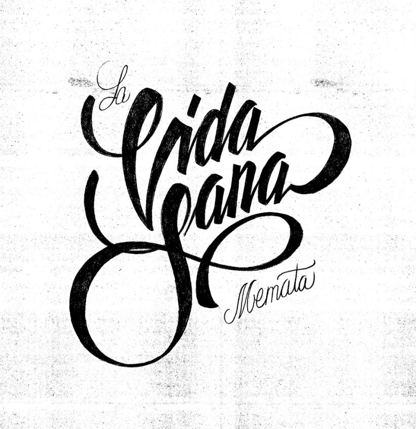 Vida Sana lettering 2