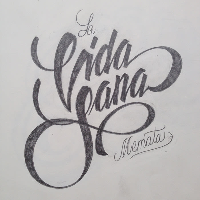 Vida Sana lettering 3