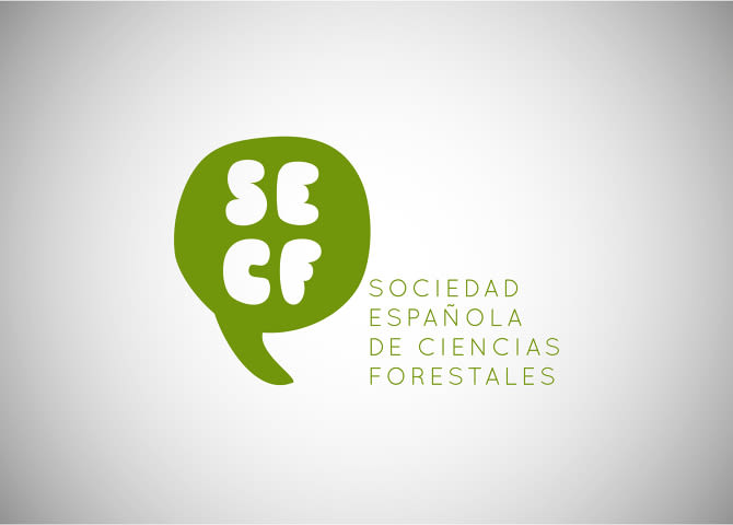 Identidad Corporativa SECF 1