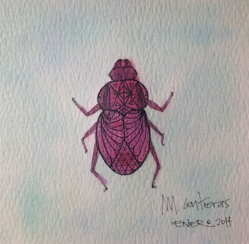 Pinky beetle!  -1