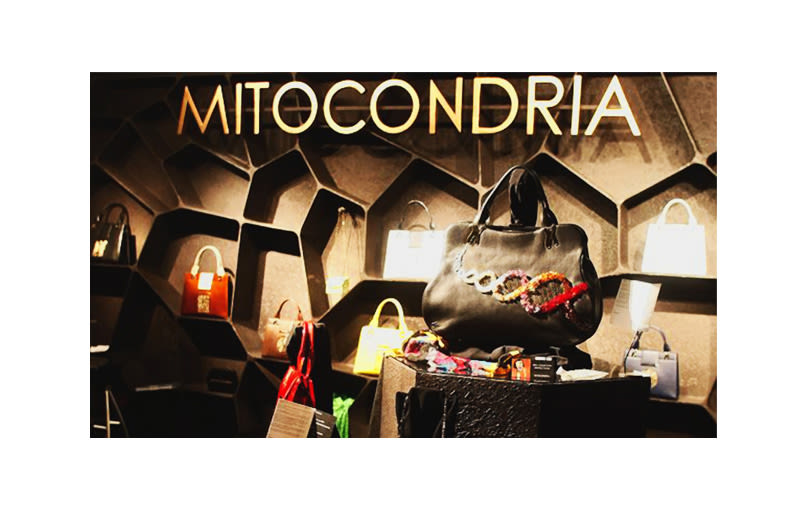 Varias piezas Mitocondria 3