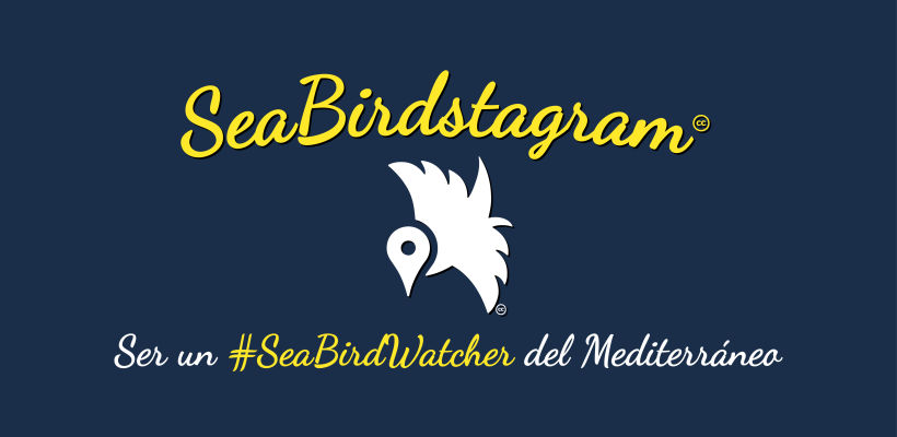 #SeaBirdstagram. App vigilancia de aves en el Mediterráneo 1