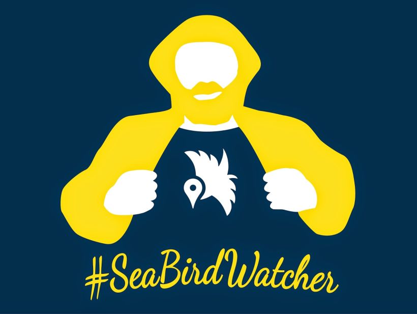 #SeaBirdstagram. App vigilancia de aves en el Mediterráneo 2