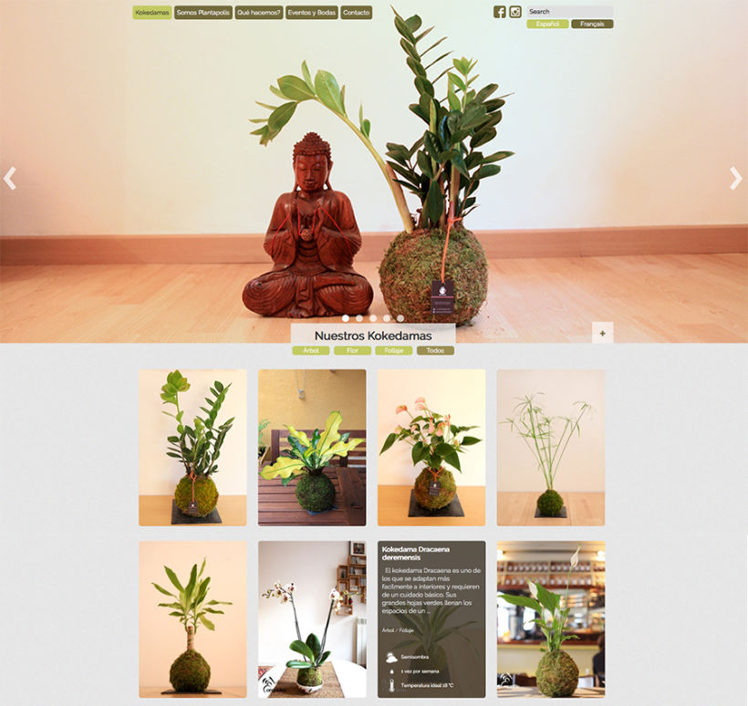 Plantapolis, diseño web y piezas gráficas 1