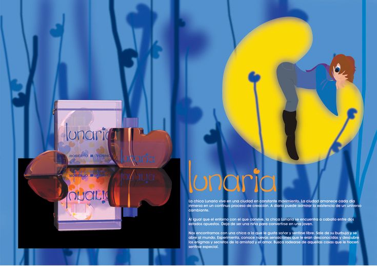 Lunaria: diseño de producto, naming y packaging 0