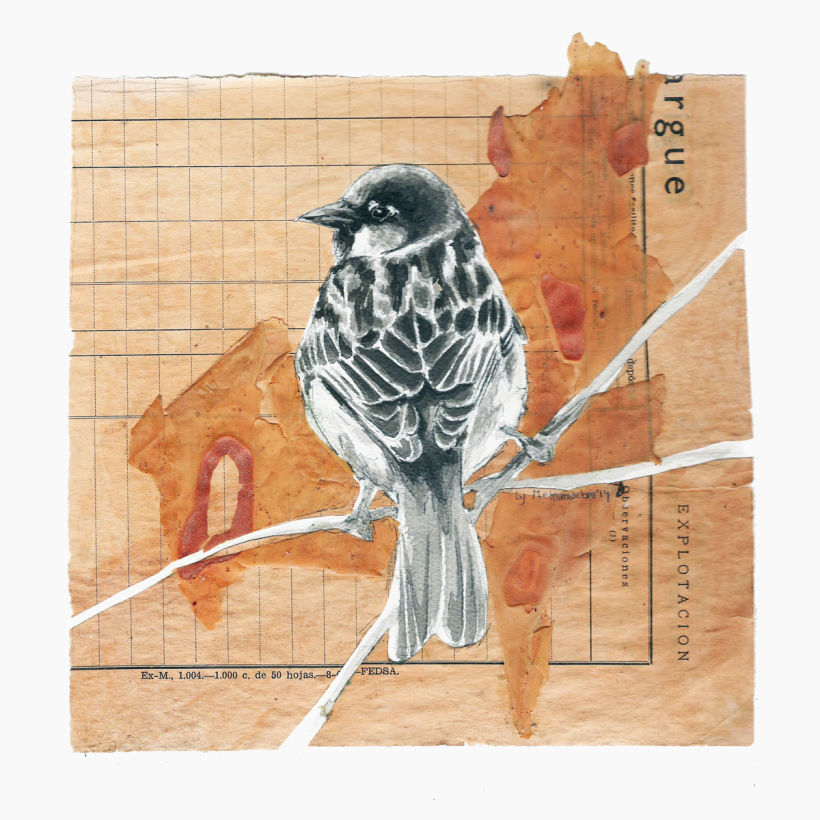 Sparrow study -1