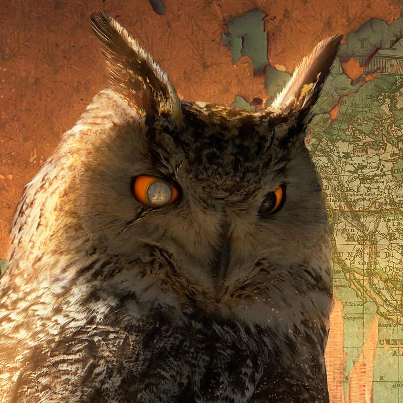 King Owl 1
