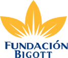 Website Fundación Bigott 0