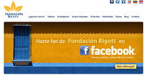 Website Fundación Bigott 1