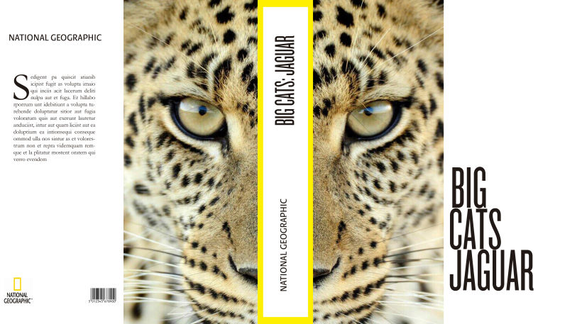 Big Cats. National Geographic 3