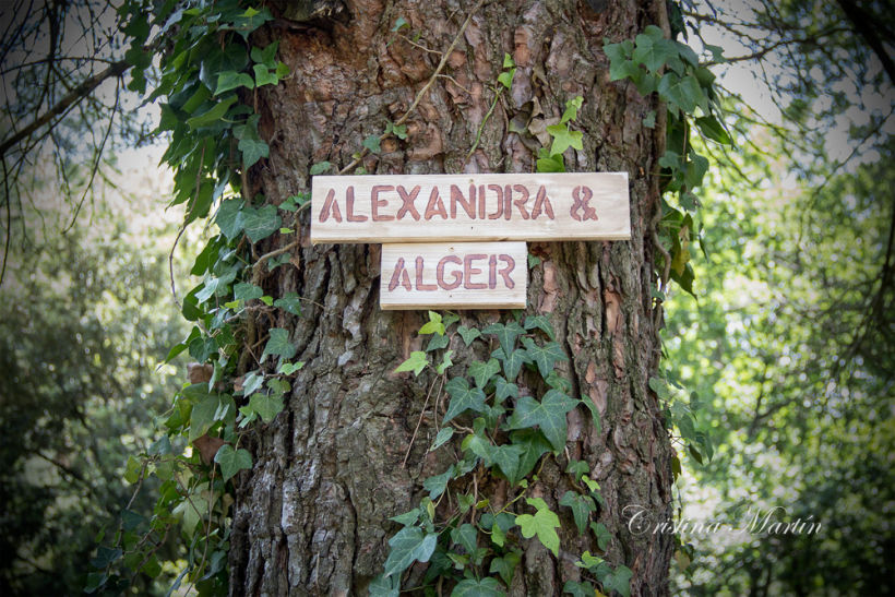 Boda Alexandra & Alger 16