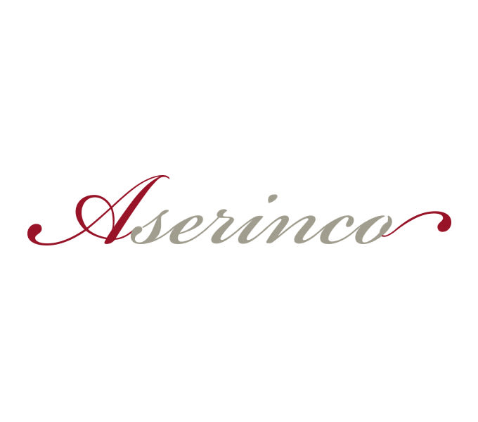 Branding Aserinco 1